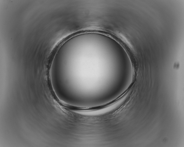 X0000090441356200707201245