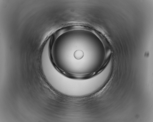 X0000090441357200707201245