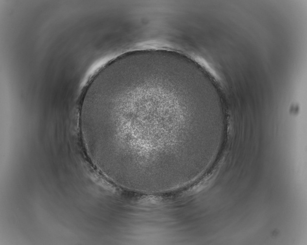 X0000090441358200707201245