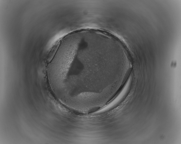 X0000090441359200707201245