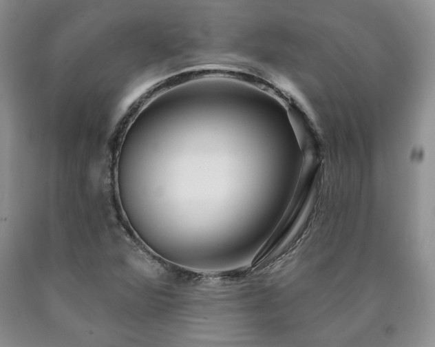 X0000090441360200707201245