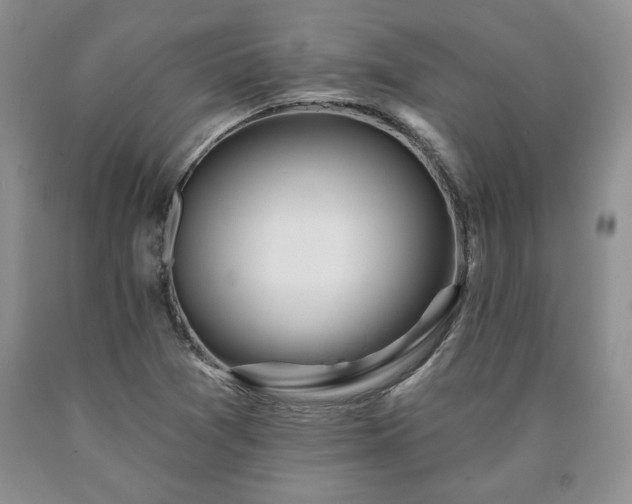 X0000090441361200707201244