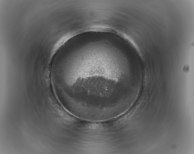 X0000090441362200707201244