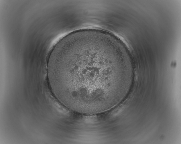 X0000090441363200707201244