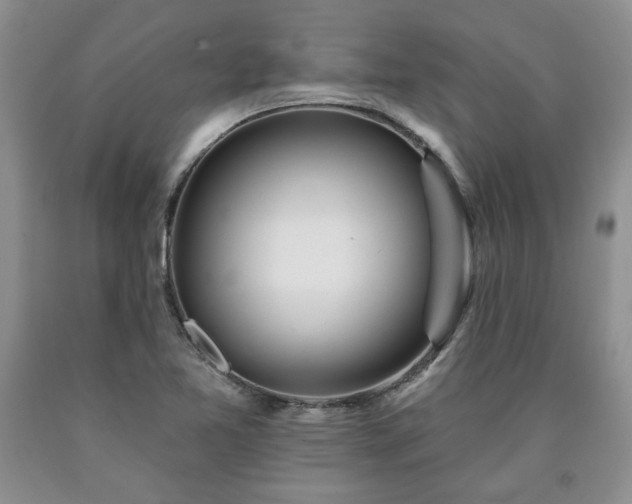 X0000090441365200707201244