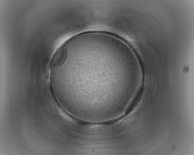 X0000090441366200707201244