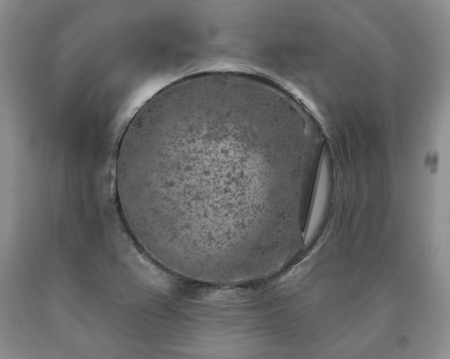 X0000090441367200707201244