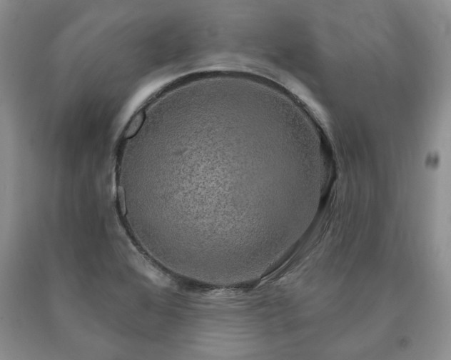 X0000090441368200707201244