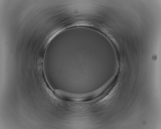 X0000090441369200707201244