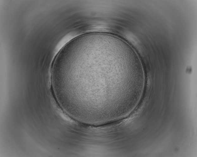 X0000090441370200707201244