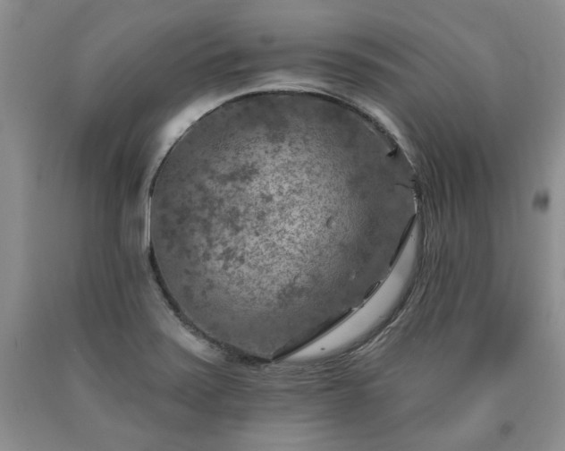 X0000090441371200707201244