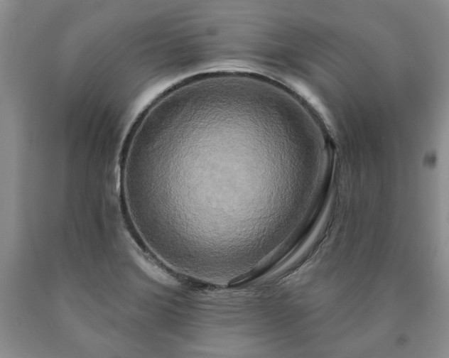 X0000090441372200707201244