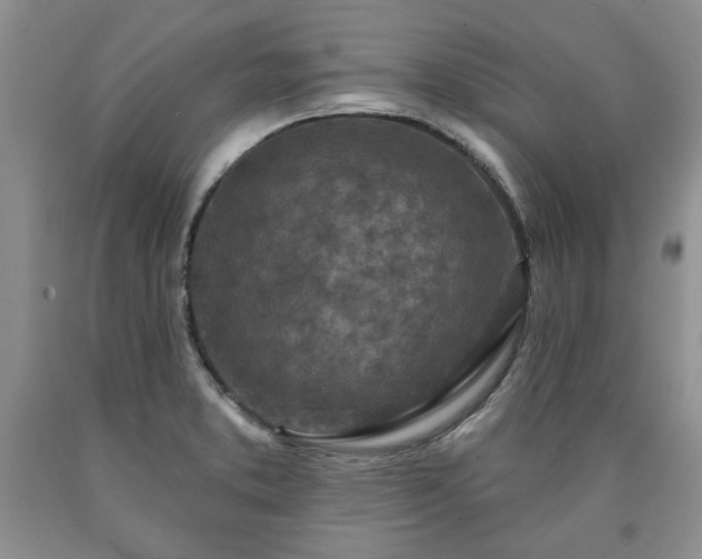 X0000090441373200707201244