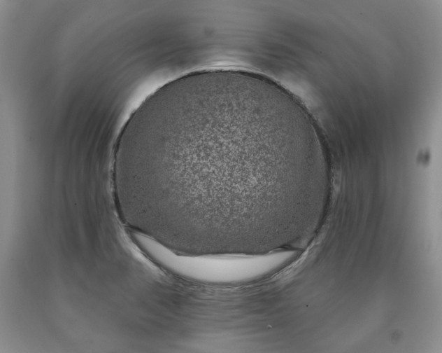 X0000090441374200707201244