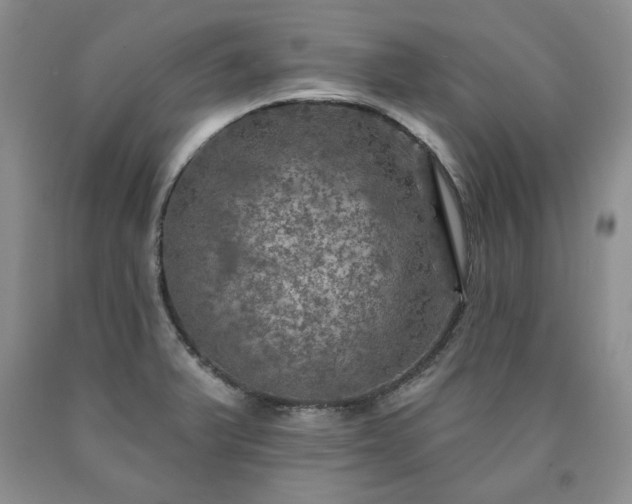 X0000090441375200707201244