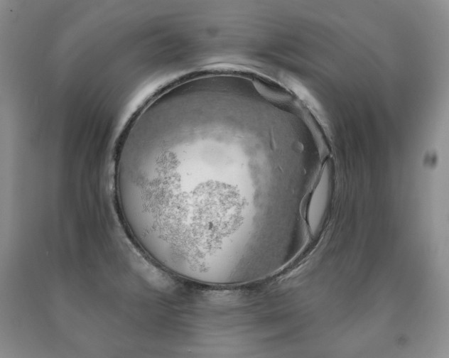 X0000090441376200707201244