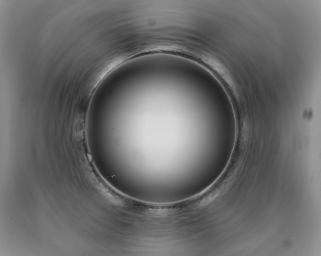 X0000090441377200707201244