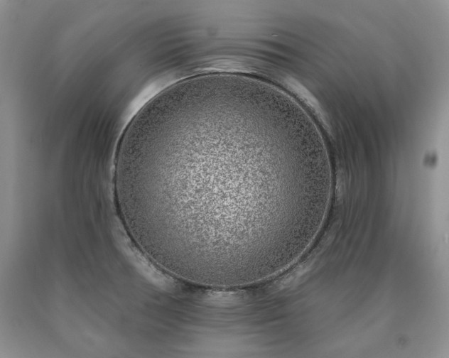 X0000090441378200707201244