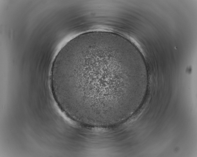 X0000090441379200707201244