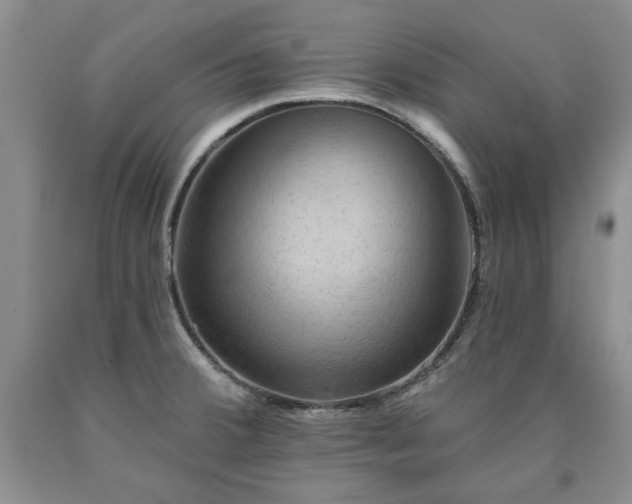 X0000090441380200707201244