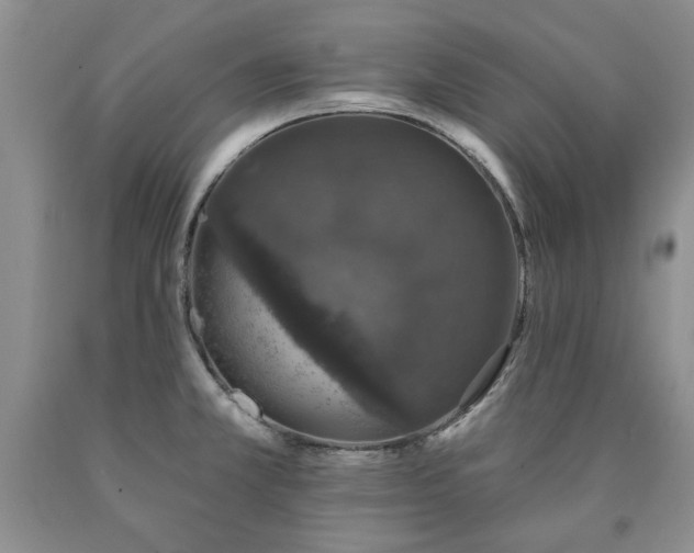 X0000090441381200707201244