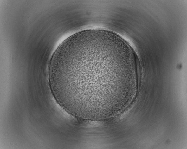 X0000090441382200707201244