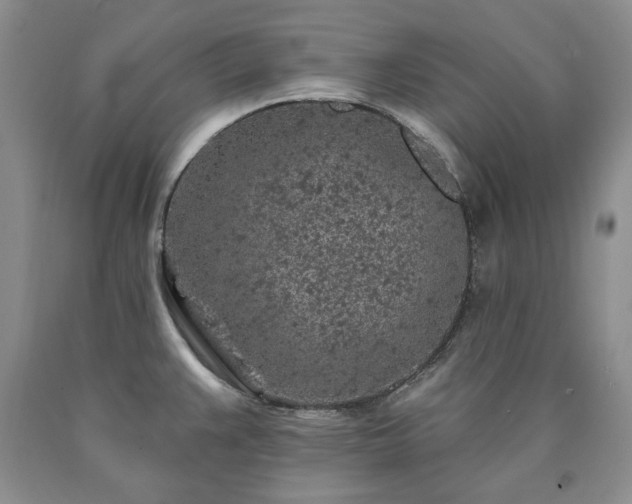 X0000090441383200707201244