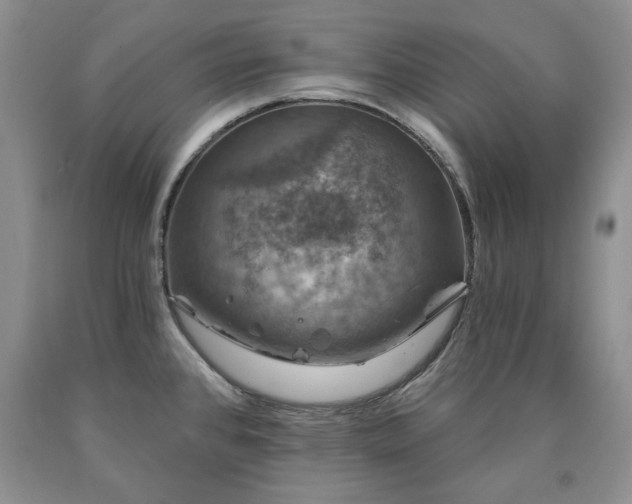 X0000090441384200707201244