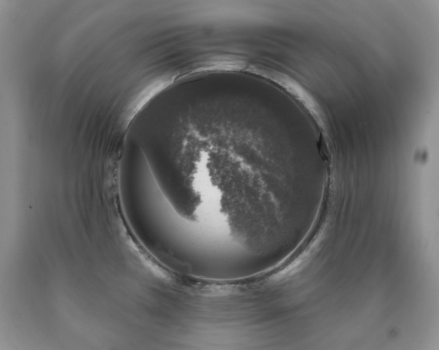 X0000090441385200707201244