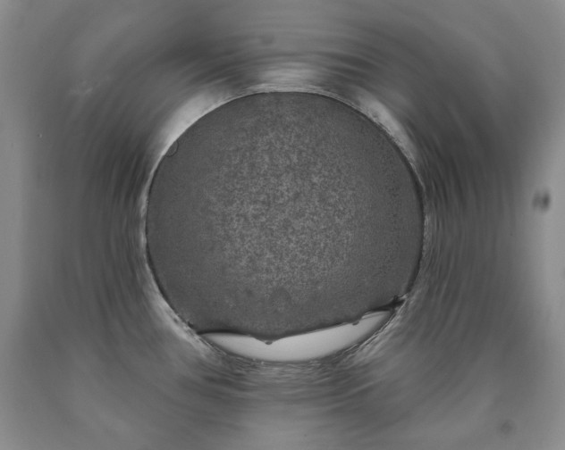 X0000090441386200707201244