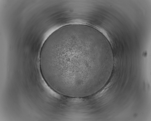 X0000090441387200707201244