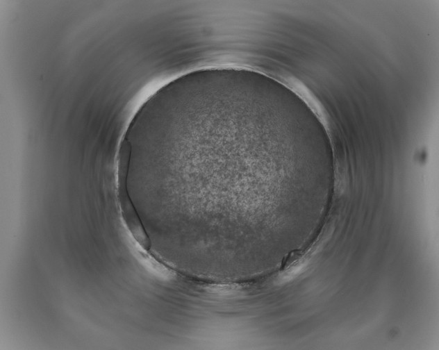 X0000090441388200707201244