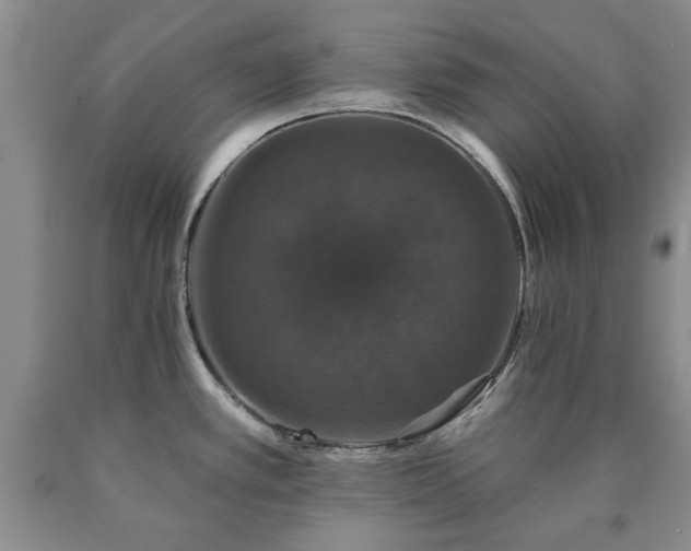 X0000090441389200707201244