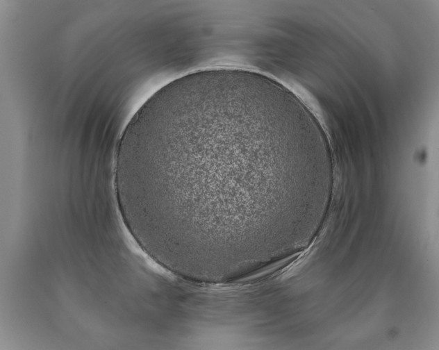 X0000090441390200707201244