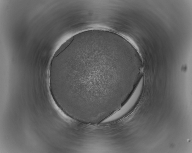 X0000090441391200707201244