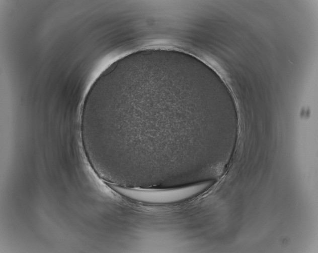 X0000090441392200707201244