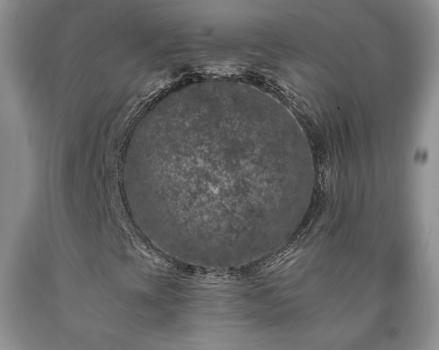 X0000090441393200707201244