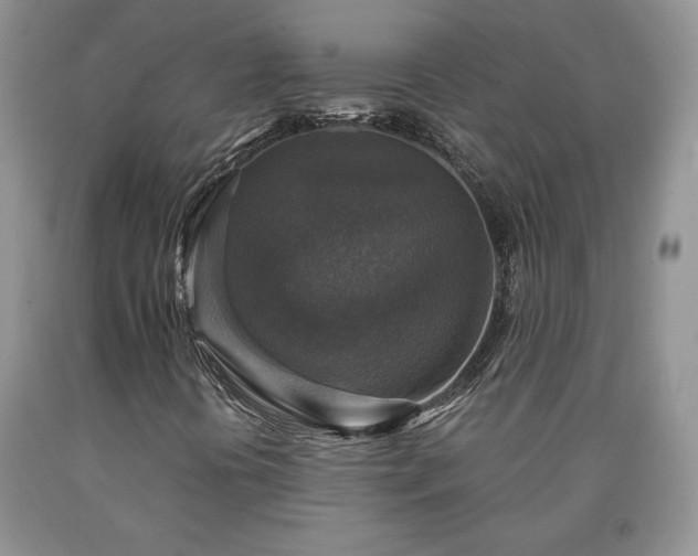 X0000090441394200707201244