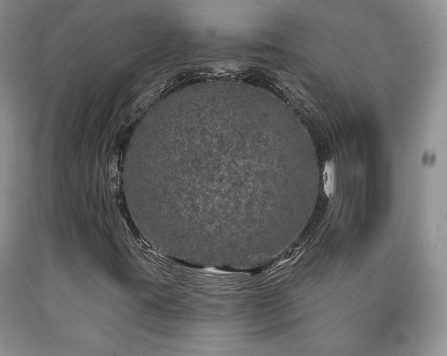 X0000090441395200707201244