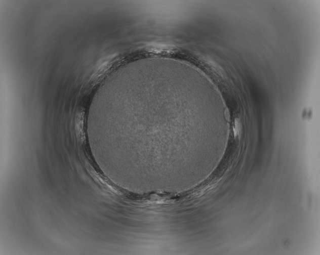 X0000090441396200707201244