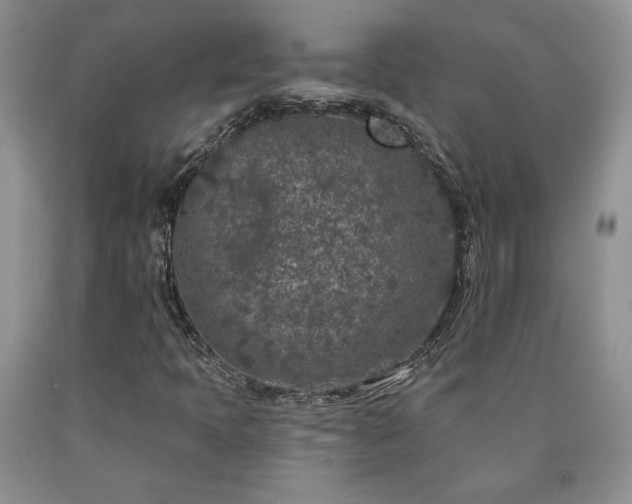 X0000090441397200707201244