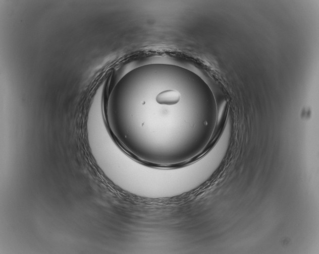 X0000090441398200707201244