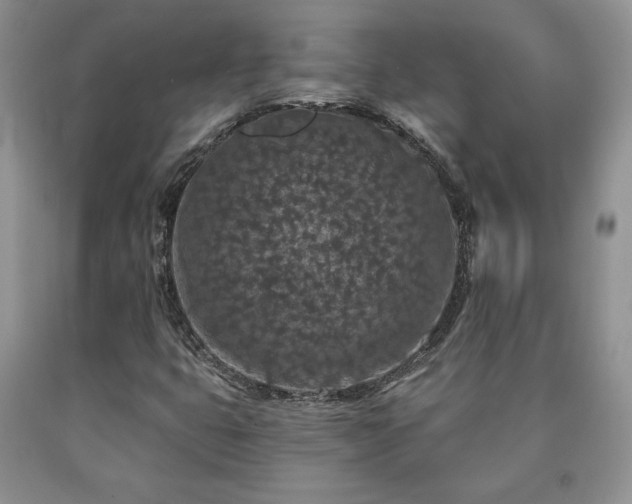 X0000090441399200707201244