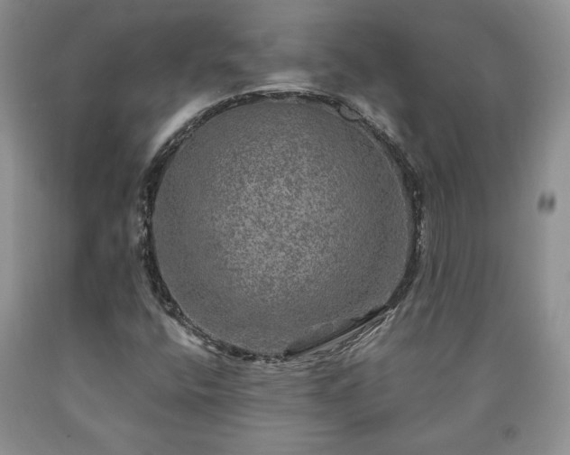 X0000090441400200707201244