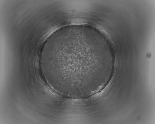 X0000090441401200707201244