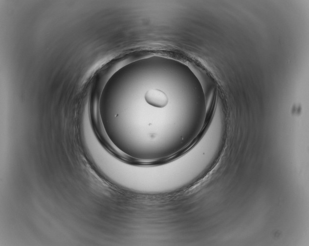 X0000090441402200707201244