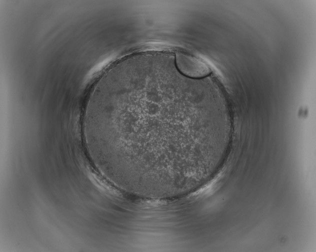 X0000090441403200707201244