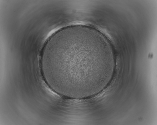 X0000090441404200707201244