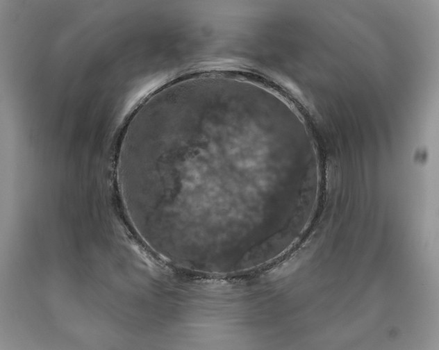 X0000090441405200707201244