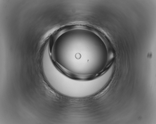 X0000090441406200707201244